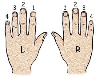 Recorder Finger Placement Chart